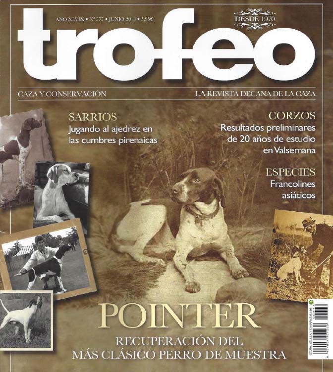 Pointer - El trofeo